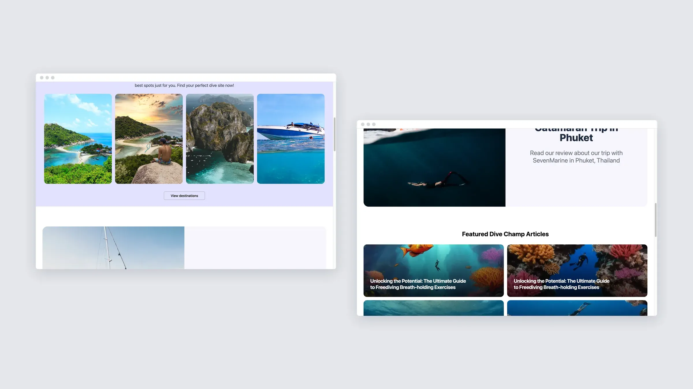 Two more sections of the Dive Champ site on desktop